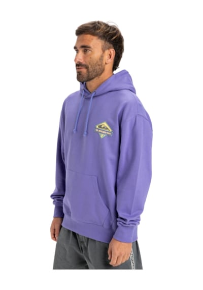 Quıksılver Quiksilver Apog Heritage Hoodie Erkek Mor Sweatshirt Pmg0 Mor