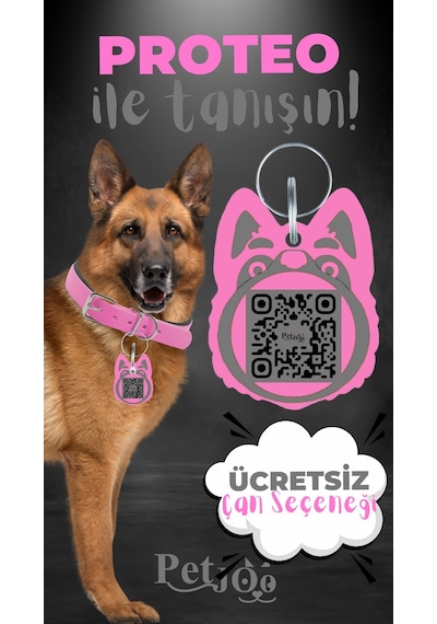 Petjoo 24.Proteo Gri-Pembe Qr'lı Köpek Künyesi