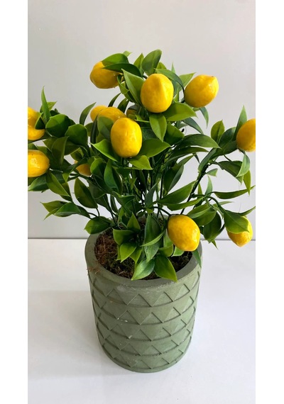 Rüzgar Yapay Çiçekçilik 35 Cm Limon Ağacı Yeşil