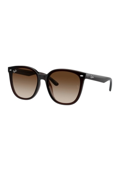 Ray-ban Rb4423d 714/13 Kahverengi Kadın Güneş Gözlüğü