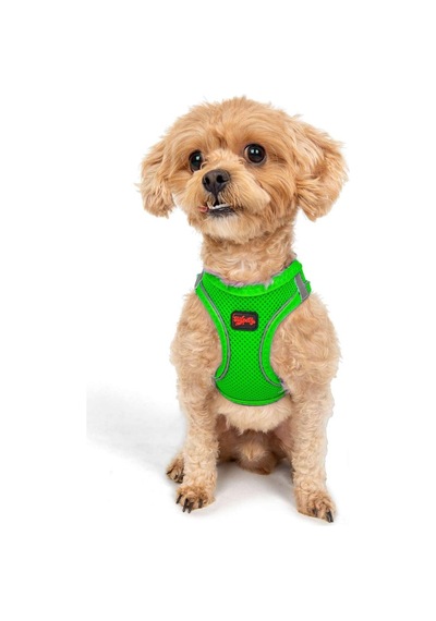Tailpetz Air-mesh Küçük Ve Orta Irk Kedi Köpek Göğüs Tasması - Yumuşak, Nefes Alabilir, Dayanıklı Neon-yeşil, 2xs Sku: Zeusb0b826fmd1 Açık Bej - Bej