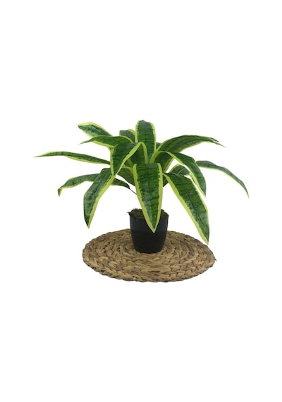 Yapay Çiçek Masengena Sansevieria 12 Dal 40x50Cm Salon Çiçeği Pla