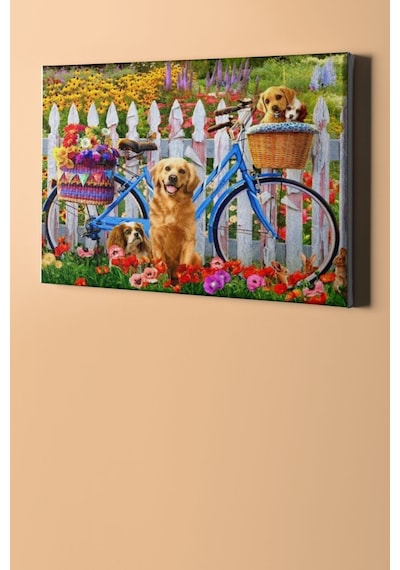 Webstyle Sayılarla Boyama Seti Kasnaklı Bisiklet Keyfi 50 X 65 Cm