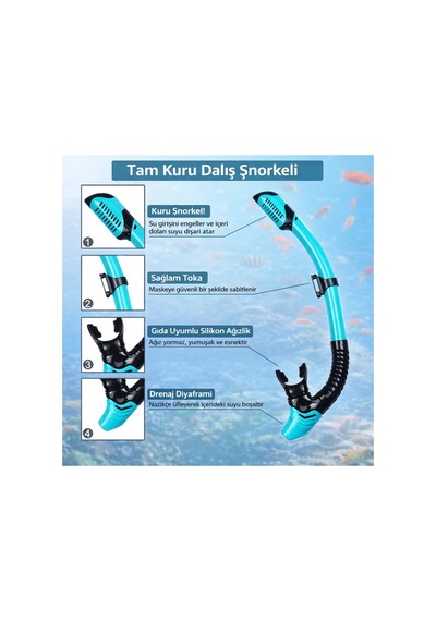 Yetişkinler İçin 3 İn 1 Profesyonel Dalış Seti Palet Gözlük Şnorkel Seti Dalış Yüzme Ekipmanı Turkuaz - 863068744 Turkuaz