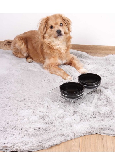 2'li Seramik Dekoratif Kedi Ve Köpek Pleksi Mama & Su Kabı Paspas