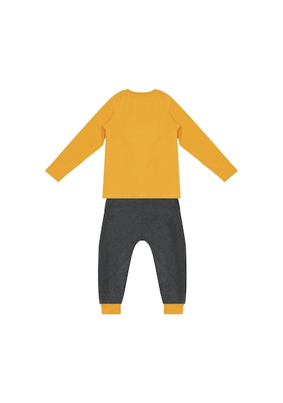 Denokids Cool Dinolar Erkek Çocuk T-shirt Pantolon Takım Çok Renkli
