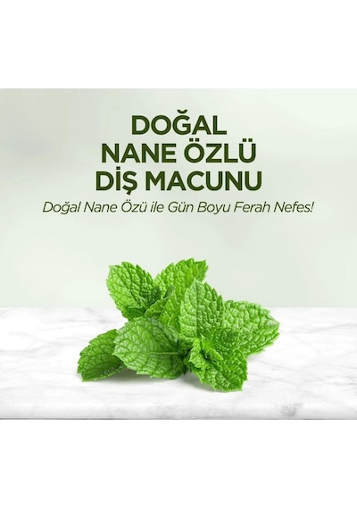 Eyüp Sabri Tuncer Doğal Nane Özlü Diş Macunu 4 x 90 ML