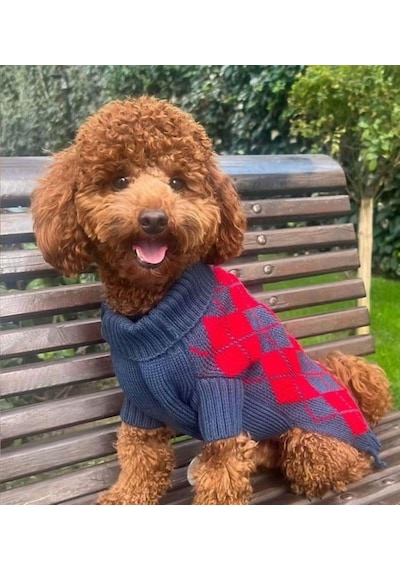 Miniş Kırmızı Baklavalı Küçük Köpek Kazağı