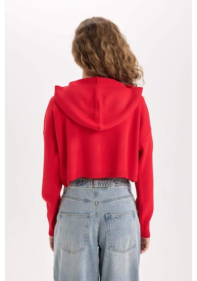 DeFacto Regular Fit Kapüşonlu Basic Düz Fermuarlı Triko Hırka E2270AXNSRD335 Kırmızı