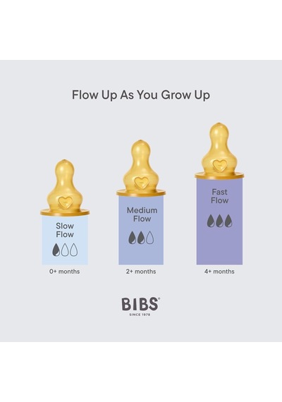 Bibs Baby Bottle Comp.set Biberon Blush 240 Ml