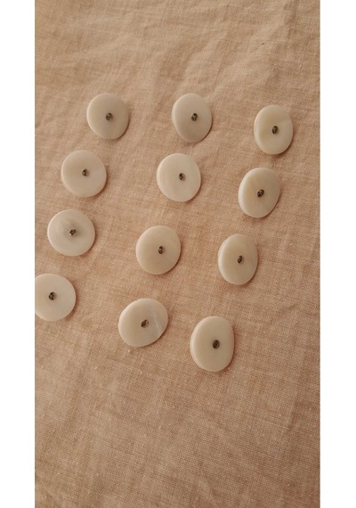 Doğal Hakiki Midye Kabugu Düğme -10 Mm 12 Adet