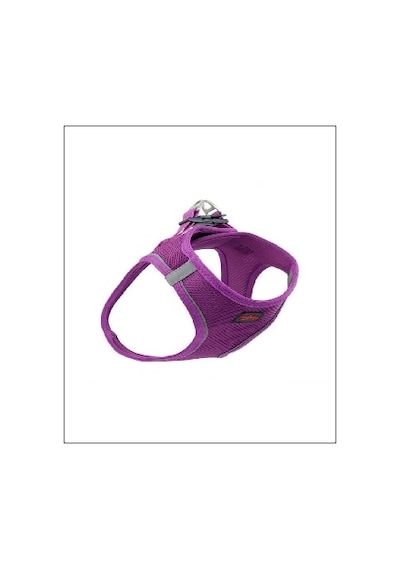 Tailpetz Airmesh Mor Göğüs Tasması Small