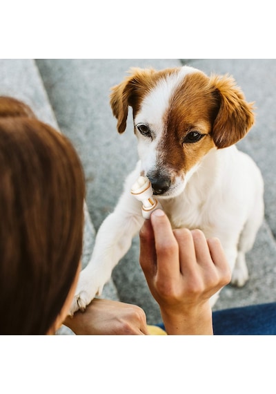Delights Pro Dental Xs Boy Kemik 7'li, 84 Gr. Köpek Ödülü