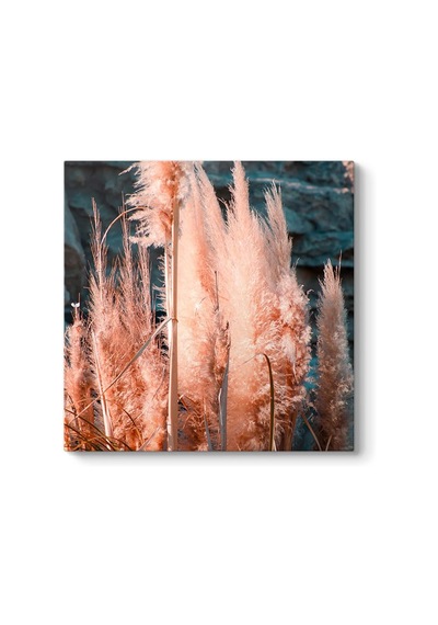 Pampas Otu Tablosu 30 X 30 7/8 Yaş