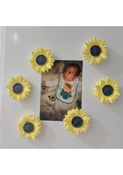 Bernami Mumluk Şamdanpinterest Buzdolabı Magnet Ayçiçeği Hediyelik Dekoratif Aksesuarlar - 6 Adet Diğer