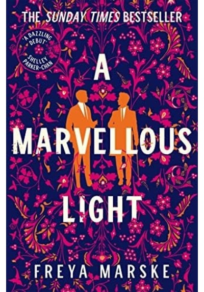 A Marvellous Light: A Dazzling, Queer Romantic Fantasy