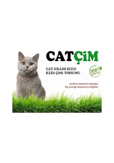 Kedi Çimi Tohumu Arpa Buğday Yulaf. 3lü Karışım %100 Doğal İlaçsız, 1000, Gram