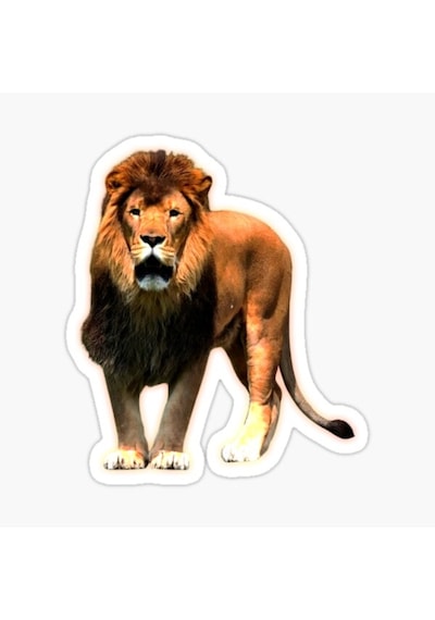Renkli Aslan Araba Oto Sticker Yapıştırma Etiket 17Cm D5