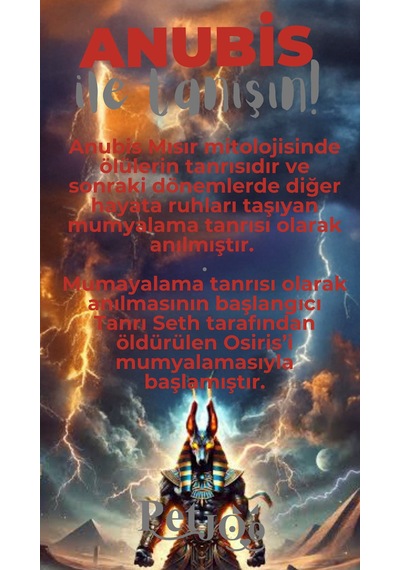 Petjoo 30.Anubis Gri-Kırmızı Qr'lı Köpek Künyesi