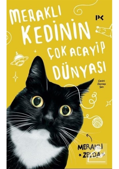 Meraklı Kedinin Çok Acayip Dünyası / Matt Taghioff