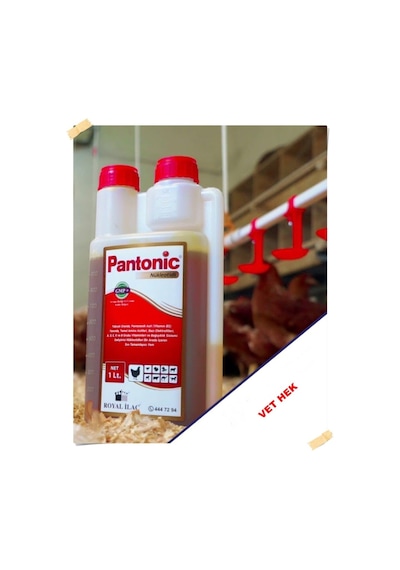 Pantonic 1lt Vitamin Kanatlı Hayvanlar Için Multivitamin