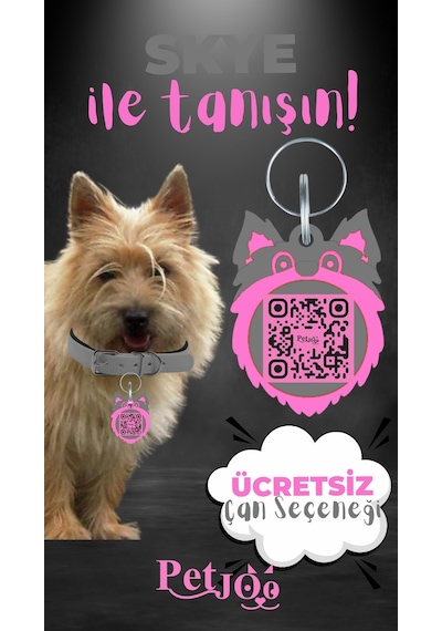 Petjoo 6.Skye Pembe-Gri Qr'lı Köpek Künyesi