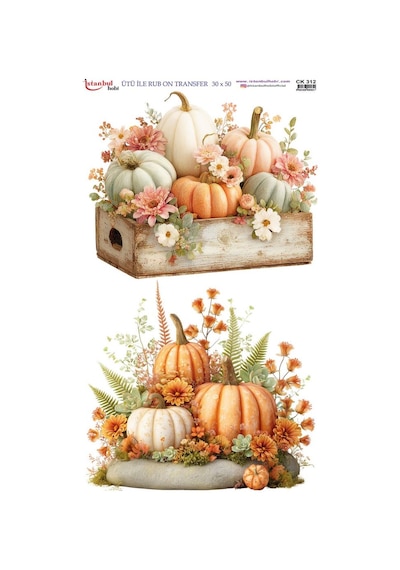 Ütü İle Rub On Transfer Kağıdı 30x50cm Ck312