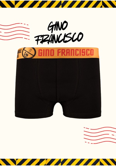 Gino Francisco Danger Serisi Erkek Boxer 3'lü Premium Hediye Kutulu %95 Pamuklu Elastik Boxer Seti Çok Renkli