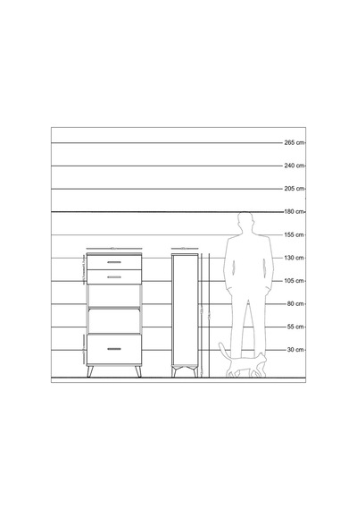 Arges Dolap 2 Raflı 3 Çekmeceli 60x30x134 Aytaşı-antrasit Aytaşı