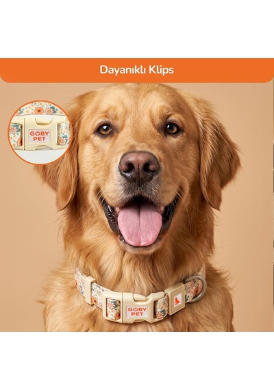 Desenli Köpek Boyun Tasması 25 Mm, Ayarlanabilir 39-55 Cm, Güçlendirilmiş Emniyet Kilitli Toka, Paslanmaz Metal D H Çok Renkli
