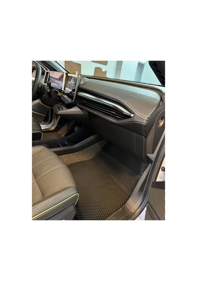 Renault Megane E-tech Premium Eva Akıllı Oto Paspas Siyah