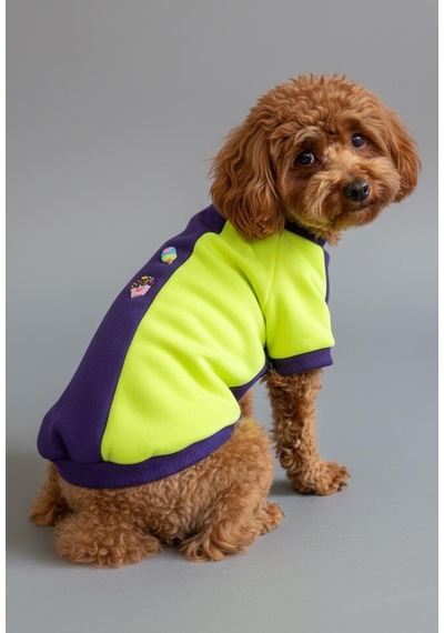 Dondurmalı Patiler Polar Sweatshirt - Ufak Irk Köpekler İçin
