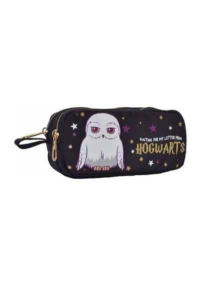 Harry Potter Hogwarts Hedwig Kalem Kutusu Çok Renkli