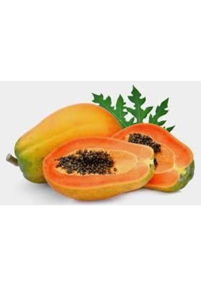 10 Adet Tohum Ithal Nadir Tropikal Bodur Papaya Ağacı Tohumu Papaya Meyvesi Süpriz Hediye