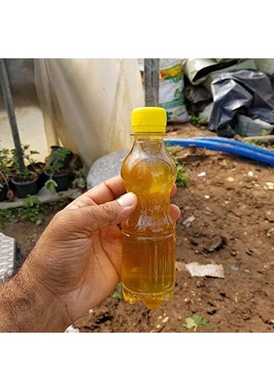 Kaktüs Ve Sukulentler İçin Özel Gübre Diğer