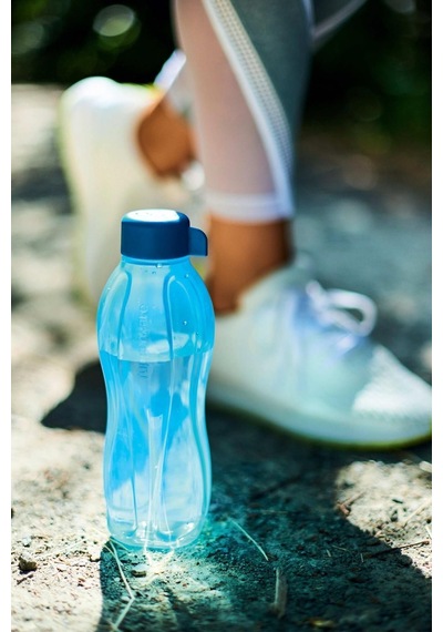 Eco Şişe Suluk Deniz Mavisi Ve Limon 750 Ml 2'li Mavi-sarı