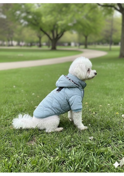 Kedi - Köpek Kapitoneli Şişme Kalın Yağmur Ve Kar Geçirmez Kışlık Mont - Yelek - Kıyafeti
