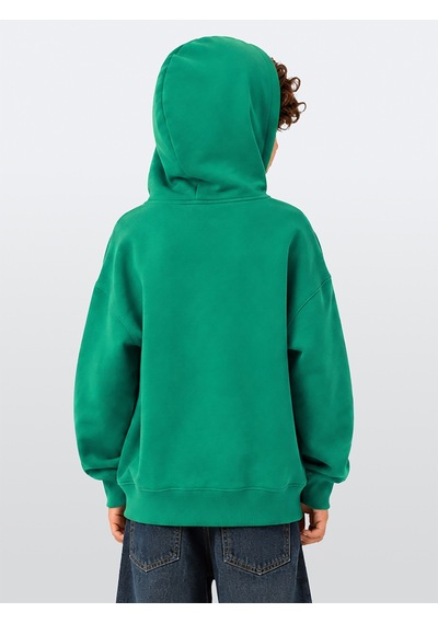 Deno Kids Denokids Erkek Çocuk Kapüşonlu Sweatshirt Kaplan Baskılı Oversize 3-8 Yaş Çok Renkli Deno Kids Denokids Erkek Çocuk Kapüşonlu Sweatshirt Kaplan Baskılı Oversize 3-8 Yaş Çok Renkli