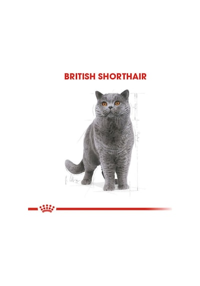 Royal Canin British Shorthair Adult Kedi Kuru Maması 2 Kg