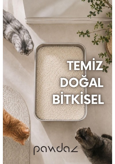 Cassava Kedi Kumu 5 Litre Hızlı Ve Güçlü Topaklanma