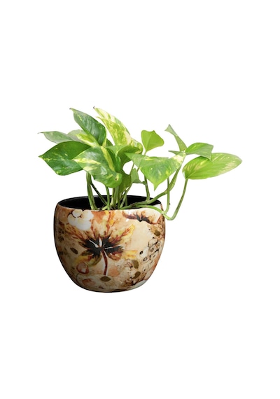 Lammie Çiçek Desenli Metal Saksı 9 7cm