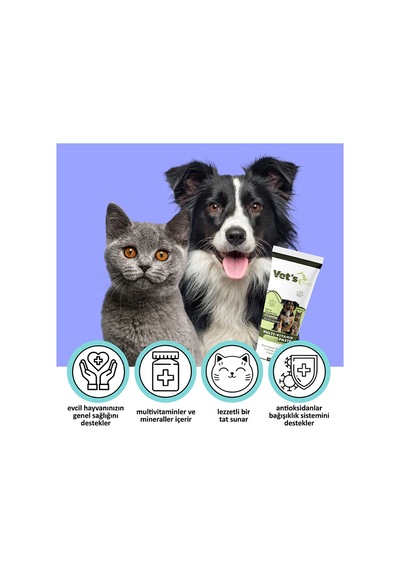 Vet's Health Multi-Vitamin Paste Kedi Köpekler İçin Vitamin Destek 2 x 100 G
