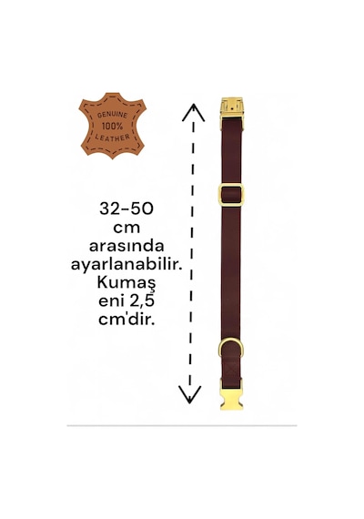 Caramelos- Hakiki Deri Köpek Boyun Tasması, Kişiye Özel Künyeli-küçük Ve Orta Irk- 2cm Bordo-tek Ebat Çok Renkli