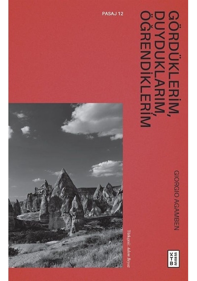 Gördüklerim, Duyduklarım, Öğrendiklerim / Giorgio Agamben