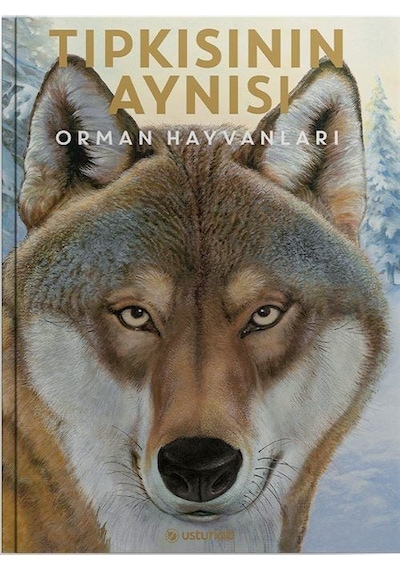 Tıpkısının Aynısı / Holger Haag