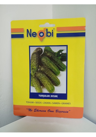 Neobi Turşuluk Hıyar Tohumu 10 Gr 1 Adet