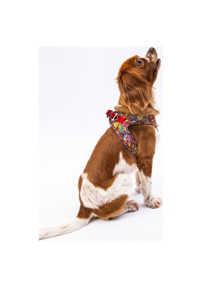 Pawstar Air-mesh Wow Köpek Göğüs Tasması 2xs Genel