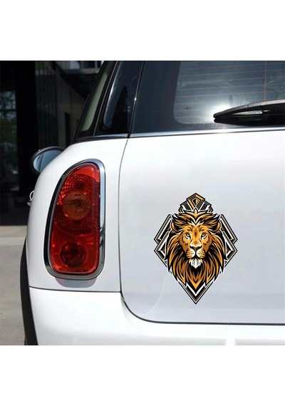 Aslan Sticker 10x10 Cmrenkli Sticker