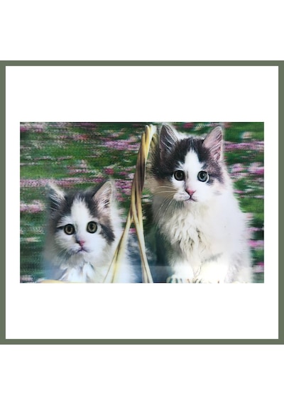 Bezos 3 Boyutlu Resim Sevimli Kediler İkili Kedi Resmi Tablosu 40x60 Cm Bezos1
