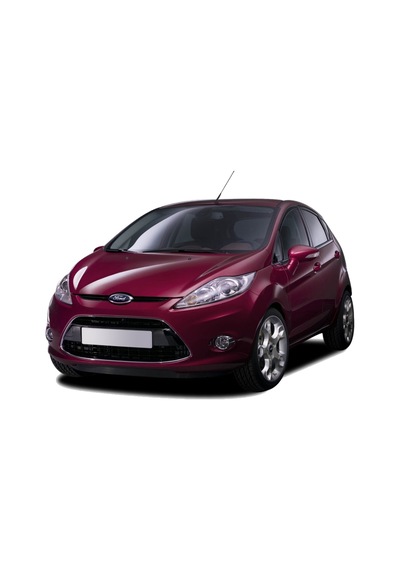 Ford Fiesta 3D Paspas Havuzlu Siyah Hb 2009-2017 Arası Rizline N11.22189